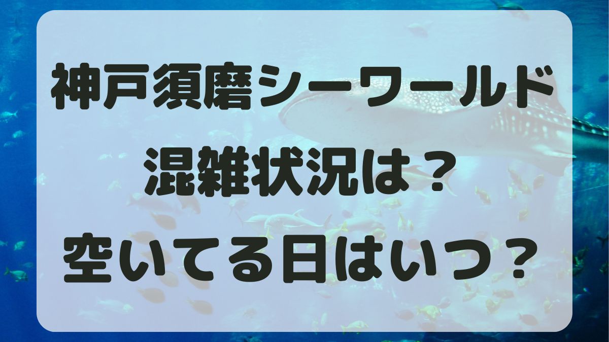 神戸須磨シーワールド混雑状況は？空いてる時期とアクセス方法も紹介！