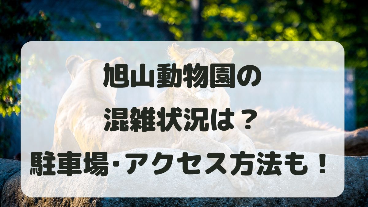 旭山動物園の混雑状況2025！所要時間と駐車場・アクセス方法も紹介！